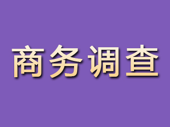 玉田商务调查